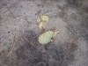 dscn2582
