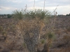 dscn2597