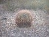 dscn2601