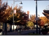 las-cruces-mainstreet-gif