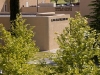 nmsu2
