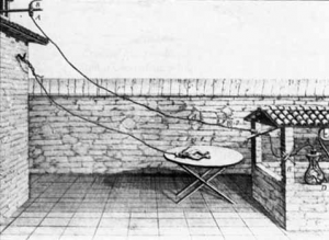 Late 1780s diagram of Galvani's frog legs experiment
